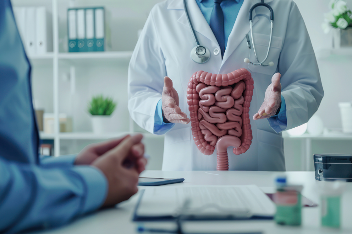 Arzt erläutert einem Patienten medizinische Inhalte an einem Darmmodell