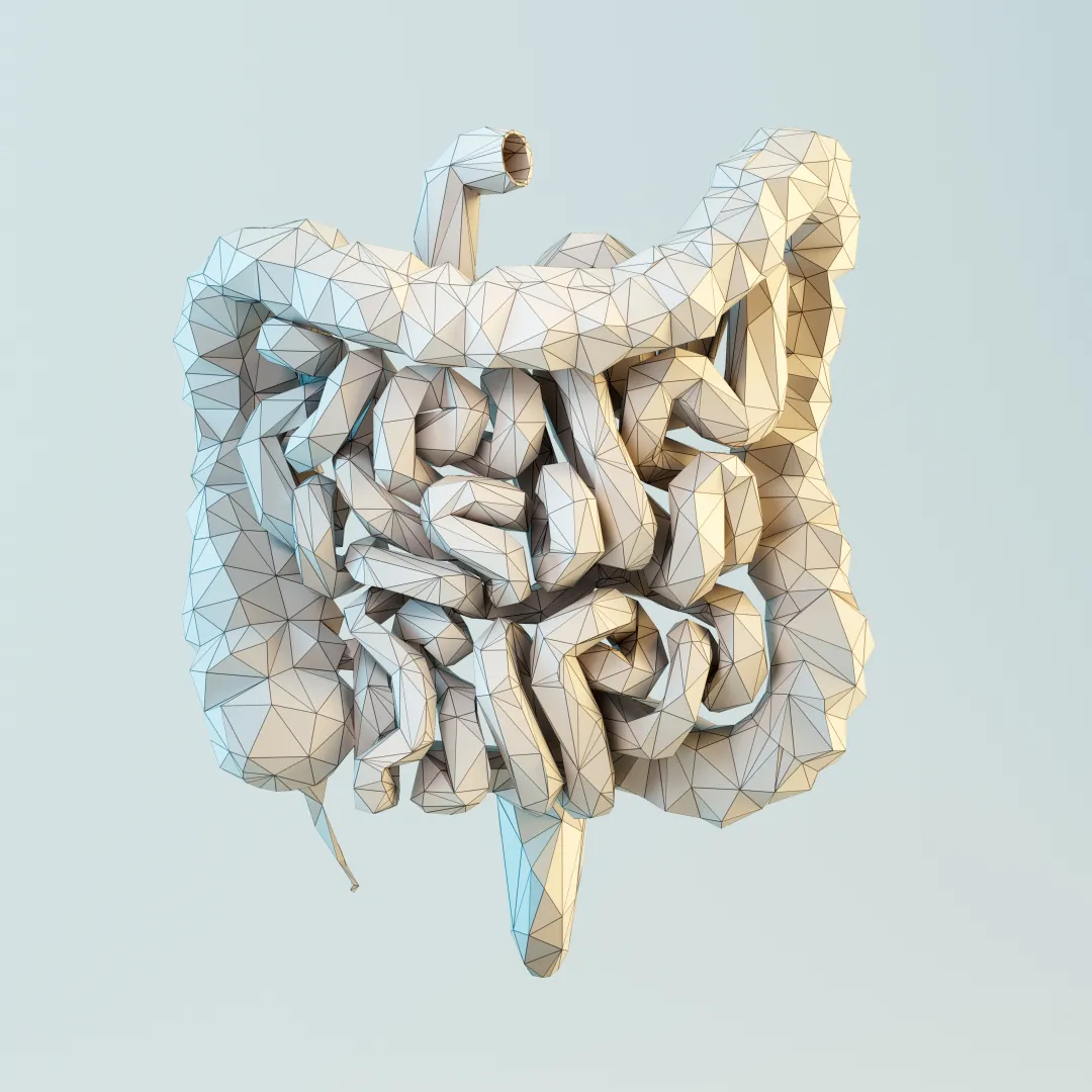 darm_digital_skizze